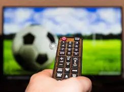 惠灵顿凤凰,连战告捷,澳甲豪取,bet365,bet365体育,bet365官网,bet365网址