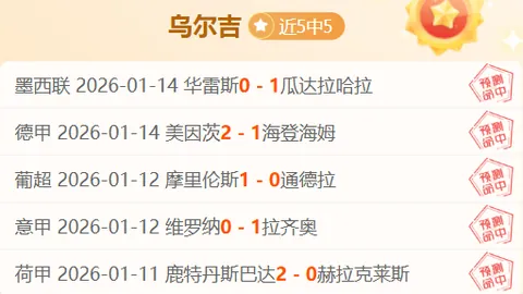 莱斯特城1-0切尔西足总杯对决，蒂勒曼斯一击制胜