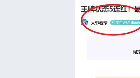 帕利尼亚：传闻风波无损专注，全力投入个人成长