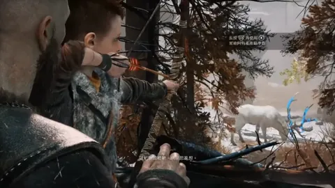 国家级荣誉授予樊振东、王曼昱、徐梦桃等体育健儿